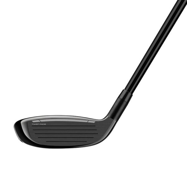 Japan golf club